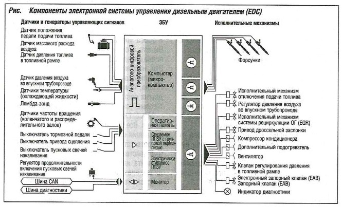 Компоненты электронной системы управления дизельным двигателем (EDC)