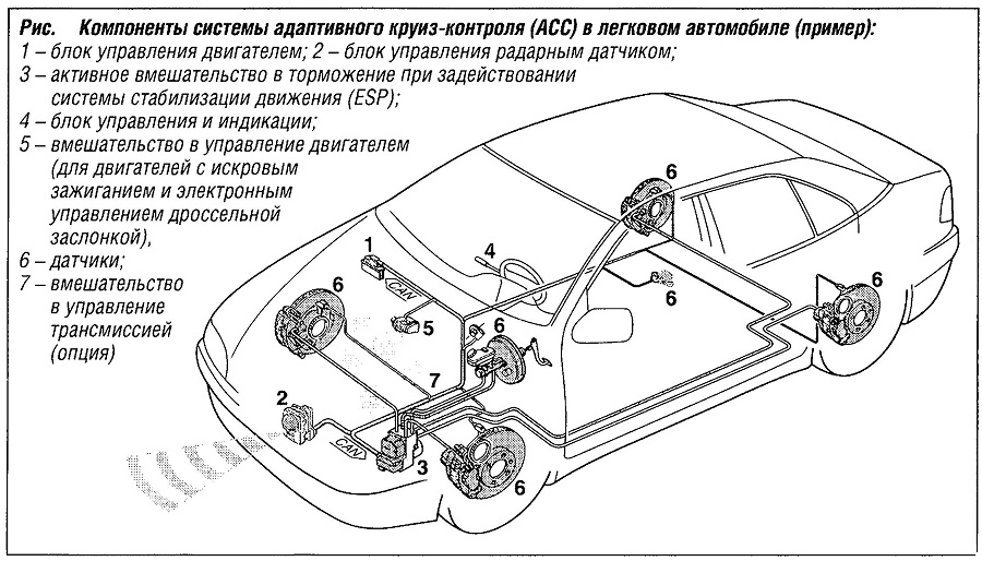 Компоненты системы адаптивного круиз-контроля (ACC) в легковом автомобиле